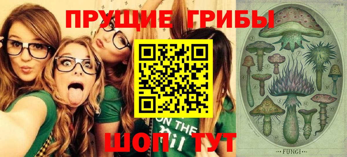 Галлюциногенные грибы Psilocybine cubensis  Псилоцибиновые грибы Psilocybe  Касимов  Вход с VPN 