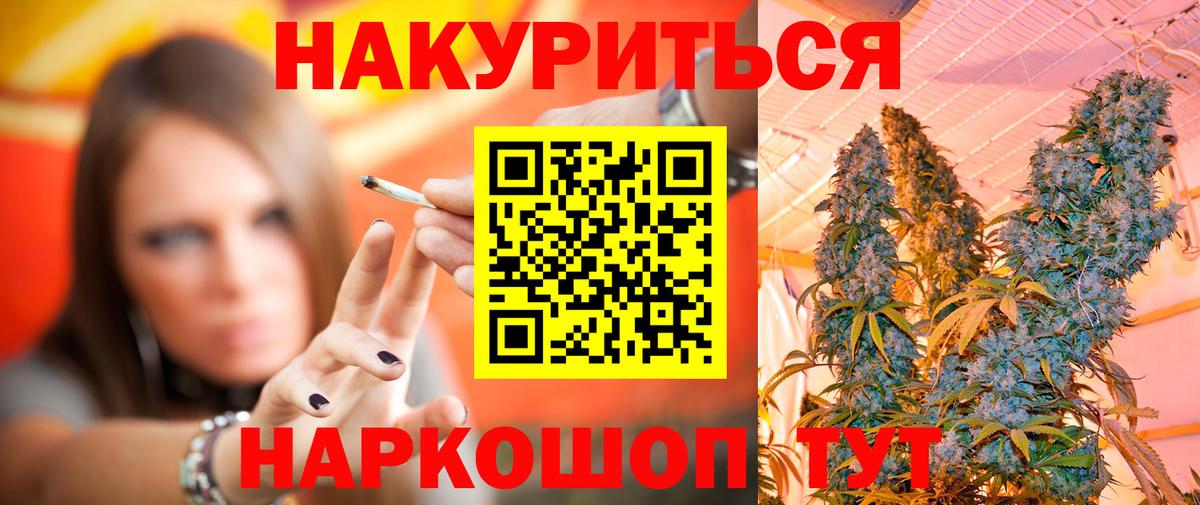 Канабис план Касимов